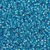 MIYUKI Round Rocailles Beads X-SEED-G009-RR0573-3