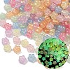 Luminous Transparent Acrylic Beads OACR-B031-14-1