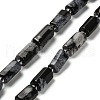 Natural Snowflake Obsidian Beads Strands G-K245-I14-01-1