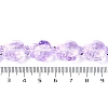 Transparent Glass Enamel Beads Strands GLAA-B021-06B-4