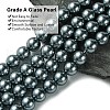 Eco-Friendly Glass Pearl Beads Strands X-HY-A008-14mm-RB077-3