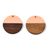 Resin & Wood Pendants X-RESI-S358-02B-07-2