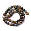 Natural Ocean Jasper Beads Strands G-C179-A09-03-3