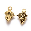 Tibetan Style Alloy Antique Golden Pendants GLF0741Y-2