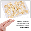 SUNNYCLUE Alloy Charms FIND-SC0002-56-3