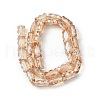 Electroplate Glass Beads Strands EGLA-L045-F-PL04-2