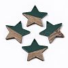 Resin & Wood Pendants RESI-T023-23E-1