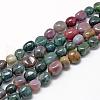 Natural Indian Agate Beads Strands G-R445-8x10-07-1