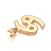 304 Stainless Steel Pendants STAS-L210-06H-G-2