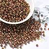 Glass Seed Beads X1-SEED-H002-B-D204-1