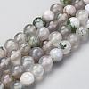 Natural Tree Agate Beads Strands G-I199-03-6mm-4