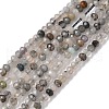 Natural Tourmalinated Quartz Beads Strands G-RM241221-O7-3