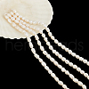  2 Strands Natural Cultured Freshwater Pearl Beads Strands PEAR-NB0002-56-7