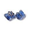 Transparent Lampwork Beads LAMP-P065-06A-3