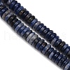Natural Sodalite Beads Strands G-Q159-B26-01-4