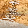 Preciosa® MAXIMA Crystal Round Stones X-PRC-RBSS39-10070-5