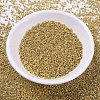 MIYUKI Delica Beads SEED-J020-DB0410-2