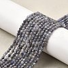 Natural Tanzanite Beads Strands G-S387-A01-3mm-1