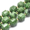 Natural Diopside Beads Strands G-K303-A10-12mm-1