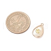 Natural Paua Shell Teardrop Pendants PALLOY-JF03762-01-2