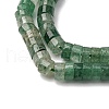 Natural Green Strawberry Quartz Beads Strands G-Z006-C46-4