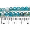 Natural Agate Beads Strands G-E054-6mm-16-3