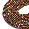 Natural Picasso Stone/Polychrome Jasper Beads Strands G-A260-A24-01-3