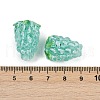 Handmade Lampwork Enamel Beads LAMP-U004-07I-2
