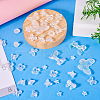 DIY Resin Beads & Pendants Jeweley Making Finding Kits RESI-TAC0011-78B-5