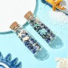 Transparent Glass Wishing Bottle Decoration PALLOY-JF03370-01-2
