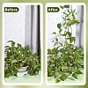 Olycraft Garden Tools DIY-OC0013-09B-5
