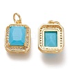 Brass Glass Charms X-ZIRC-F116-09D-G-2