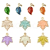 10Pcs 10 Styles Zinc Alloy Pendants ENAM-YW0004-32-1