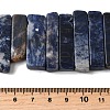 Natural Sodalite Beads Strands G-S386-D19-5
