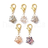 Copper Wire Wrapped Electroplated Glass Star Pendant Decoration HJEW-JM01487-02-1