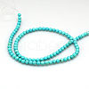 Natural Magnesite Beads Strands TURQ-G103-6mm-01-5