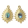 Teardrop 304 Stainless Steel Natural Paua Shell/White Shell Pendants STAS-U037-09G-02-1