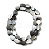 Natural Black Lip Shell Beads Strands BSHE-D300-04A-2