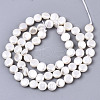 Natural Freshwater Shell Beads Strands X-SHEL-N026-50B-01-2