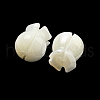 Natural Trochid Shell/Trochus Beads BSHE-NH0001-01-2