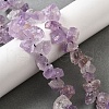 Natural Amethyst Beads Strands G-S386-B05-1