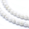 Natural Magnesite Beads Strands TURQ-G148-09-4mm-3