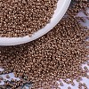 MIYUKI Round Rocailles Beads X-SEED-G007-RR1072-1