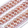 Grade AAA Natural Cultured Freshwater Pearl Beads PEAR-R008-02-1
