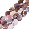 Natural Botswana Agate Beads Strands G-K245-J10-B01-1