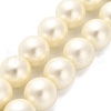 Shell Pearl Beads Strands BSHE-XCP0001-32-1