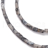 Natural Black Larvikite Bead Strands G-C301-06-3