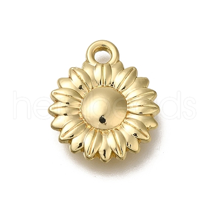 Alloy Pendants FIND-U023-01G-05-1