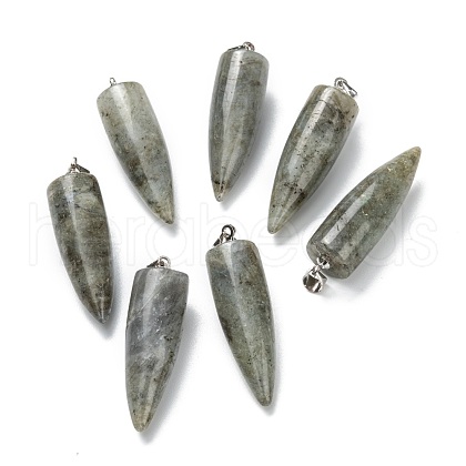 Natural Labradorite Pendants G-D040-01P-B04-1