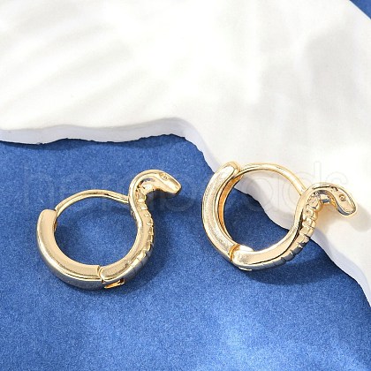 Brass Hoop Earrings EJEW-Q016-13G-1